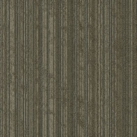 Shaw Floors Special Project Commercial Sp767 Twist