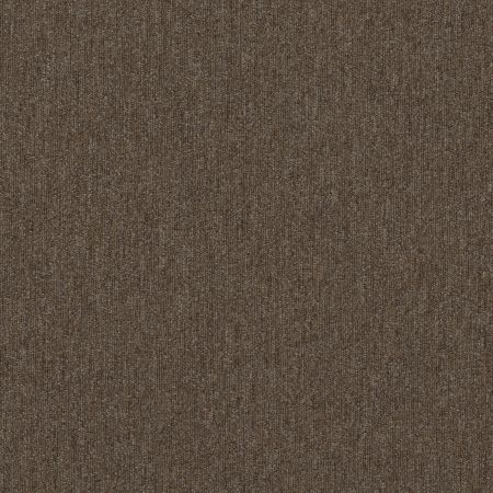 Shaw Floors Special Project Commercial Sp782 Fauna