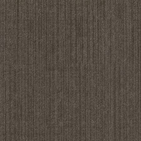 Shaw Floors Special Project Commercial Sp797 Indigenous