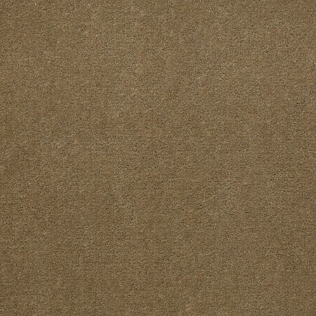 Philadelphia Commercial Special Project Commercial Sp845 Golden Sage