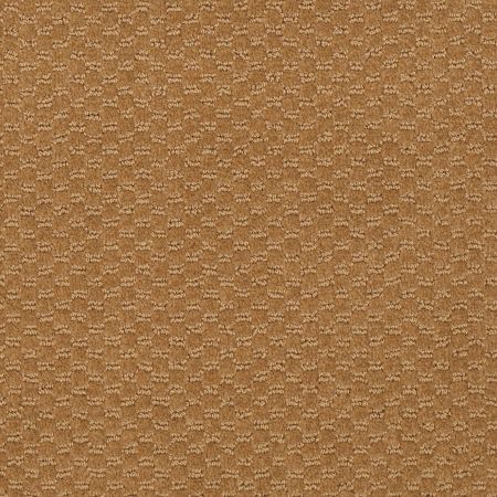 Philadelphia Commercial Special Project Commercial Sp882 Gold Rush