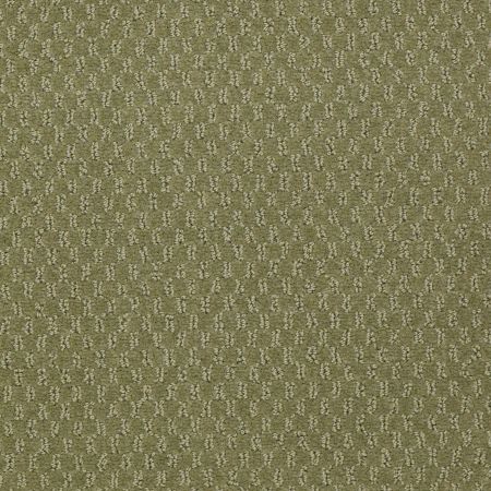 Philadelphia Commercial Special Project Commercial Sp882 Desert Cactus