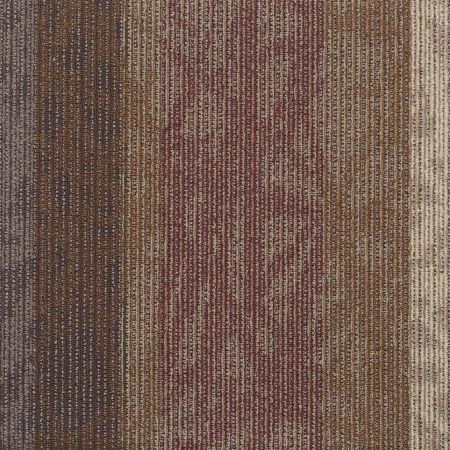 Philadelphia Commercial Special Project Commercial Sp897 Echo