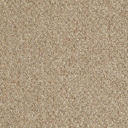 Philadelphia Commercial Special Project Commercial Sp949 Tree House