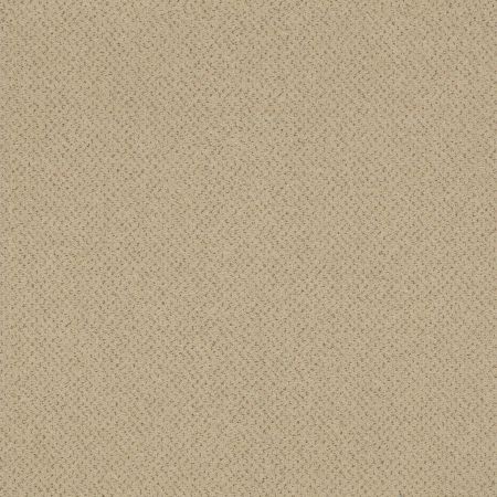 Philadelphia Commercial Special Project Commercial Sp992 Gen Z