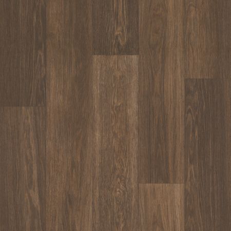 Shaw Floors Resilient Residential GREAT BASIN II Ranger