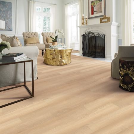 Shaw Floors Resilient Residential Paramount 512c Plus White Sand