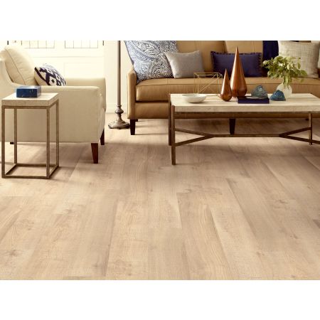 Shaw Floors Resilient Residential Prodigy Hdr Plus Nomad