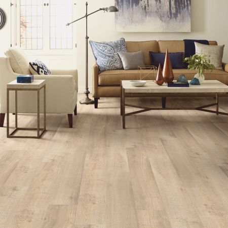 Shaw Floors Resilient Residential Prodigy Hdr Plus Nomad