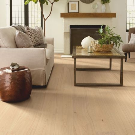 Shaw Floors Resilient Residential Prodigy Hdr Plus Hygge