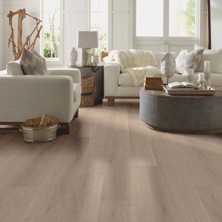 Shaw Floors Resilient Residential Prodigy Hdr Plus Lagom