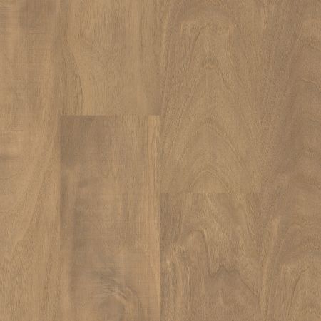 Shaw Floors Resilient Residential Prodigy Hdr Plus Mindful