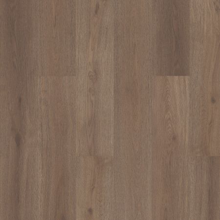 Shaw Floors Resilient Residential Prodigy Hdr Plus Glogg
