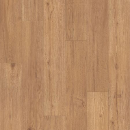 Shaw Floors Resilient Residential WORLD'S FAIR 6MIL San Francisco