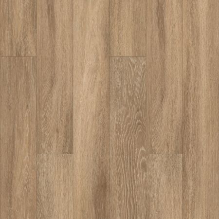 Shaw Floors Resilient Residential WORLD'S FAIR 6MIL Paris