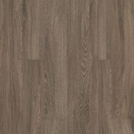 Shaw Floors Resilient Residential WORLD'S FAIR 6MIL Seattle