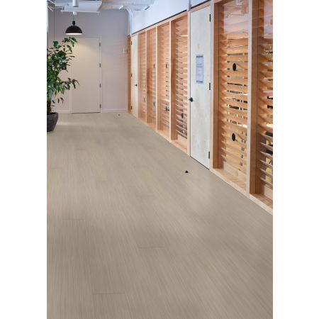 Philadelphia Commercial Resilient Commercial Philosopher's Tree Travertine