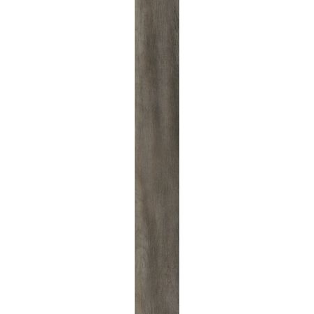 Philadelphia Commercial Resilient Commercial Philosopher's Tree Bronze