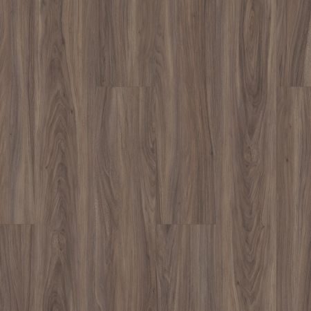 Shaw Floors Resilient Residential Paladin Plus Cinnamon Walnut