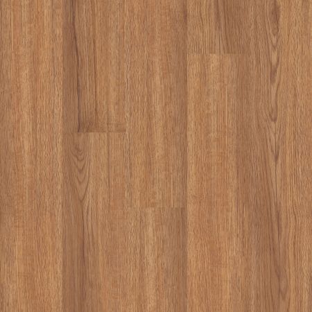 Shaw Floors Nfa HS Ellis Island 6 Mil Philadelphia