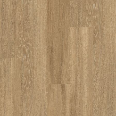 Shaw Floors Nfa HS ELLIS ISLAND 6 MIL Paris