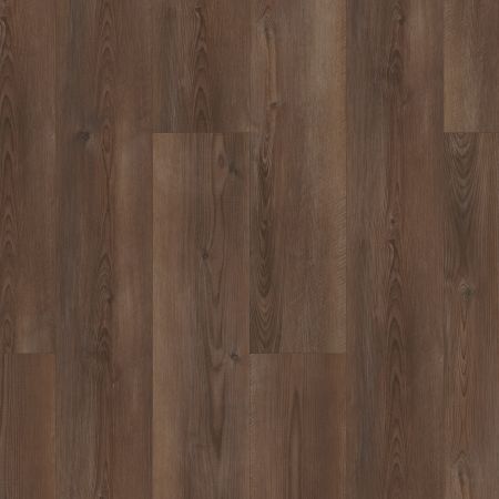 Shaw Floors Resilient Residential Paladin Plus Ripped Pine