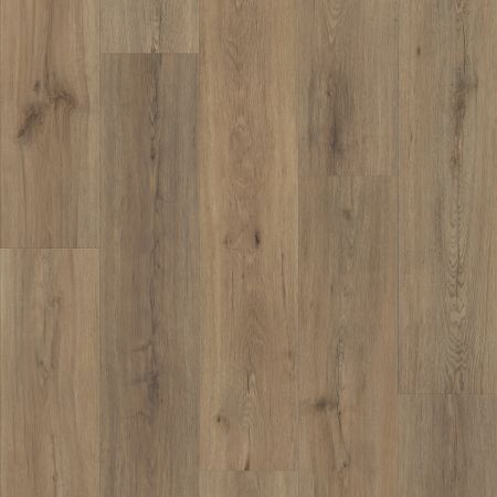 Shaw Floors Resilient Residential Endura Plus Wild Dunes