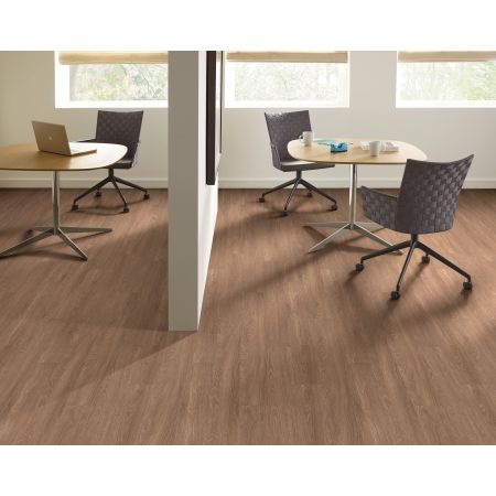 5th And Main Symbiotic 5.0 Malt