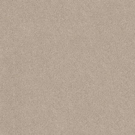 Shaw Floors Value Collections Va107 Scone