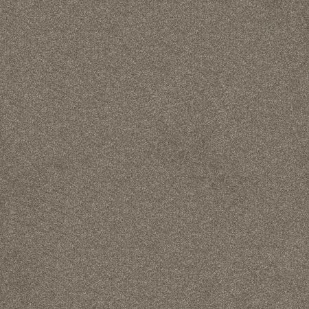 Shaw Floors Value Collections Va108 Moccasin