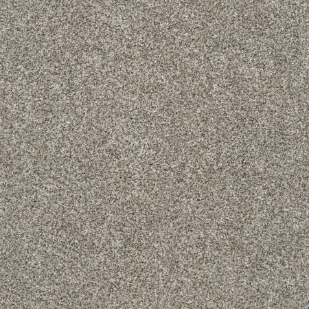 Shaw Floors Value Collections Va109 Oatmeal