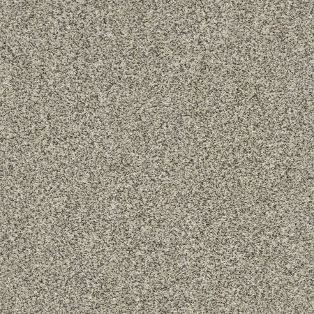 Shaw Floors Value Collections Va109 Linen