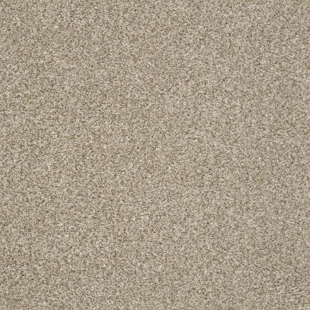 Shaw Floors Value Collections Va109 Khaki