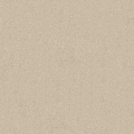 Shaw Floors Va110 Wt Natural Cotton