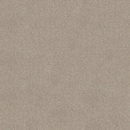 Shaw Floors Va110 Wt Catnip