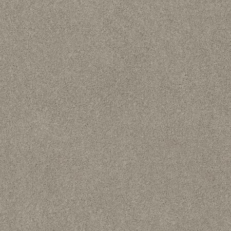 Shaw Floors Va110 Wt Frosted Ice