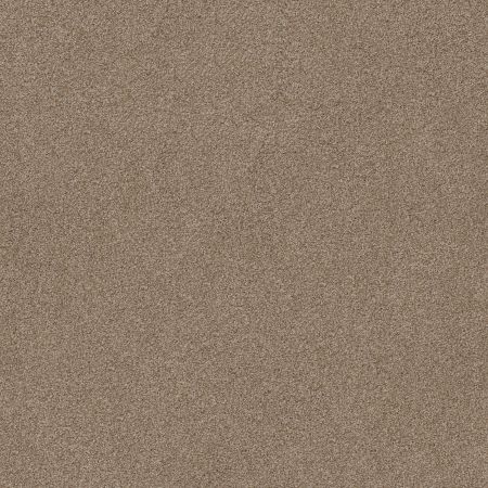 Shaw Floors Va110 Wt Sombrero