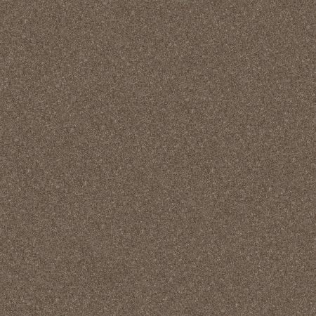 Shaw Floors Value Collections Go After It 1 Net Tree House