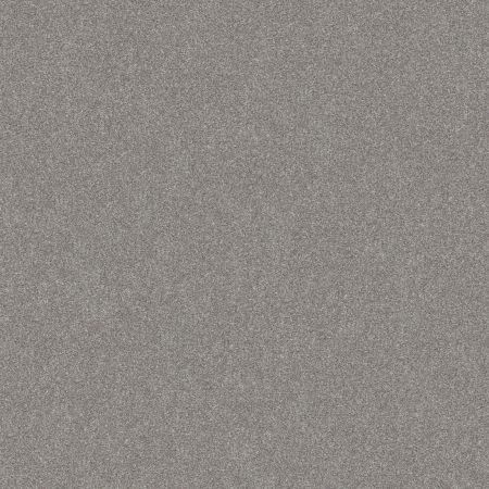 Shaw Floors Value Collections Go After It 4 Net Etched