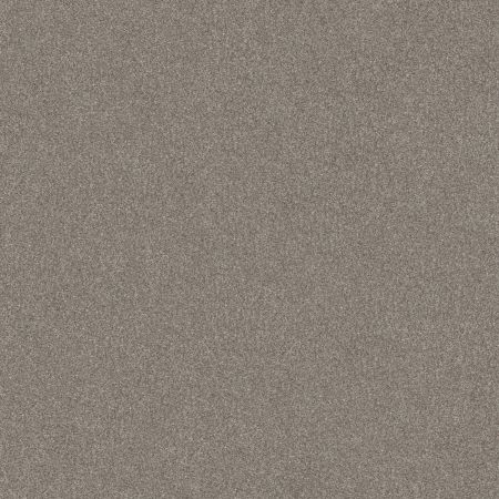 Shaw Floors Value Collections Go After It 4 Net Spinning Wheel