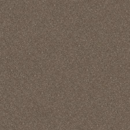 Shaw Floors Value Collections Go After It 4 Net Tree House