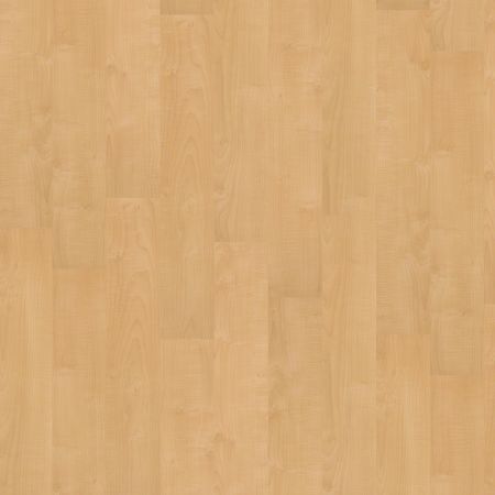 Shaw Floors Nfa HS Society 6mil Bright Lights