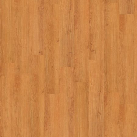 Shaw Floors Nfa HS Society 6mil Metro