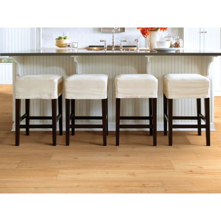 Shaw Floors Nfa HS Ellis Island12mil San Francisco