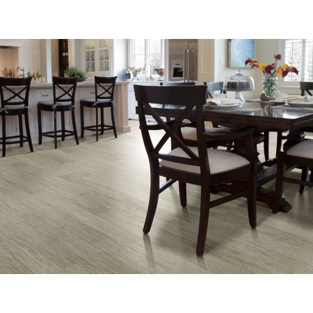 Shaw Floors Nfa HS Dover Plus Elba