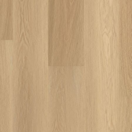 Shaw Floors Nfa HS Ventura Castaway