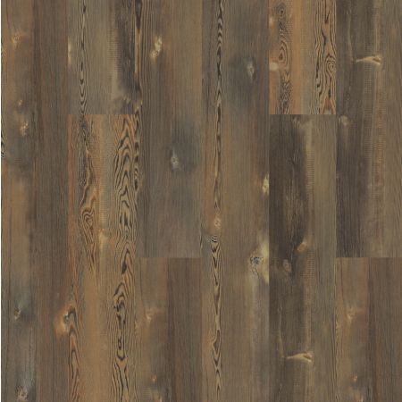 Shaw Floors Nfa HS Beaver Creek Earthy Pine