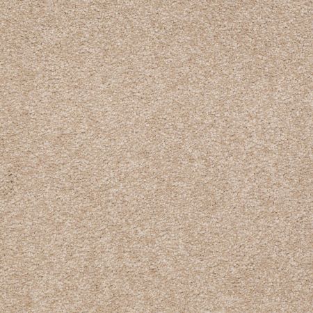 Shaw Floors Roll Special Xv136 15' Adobe