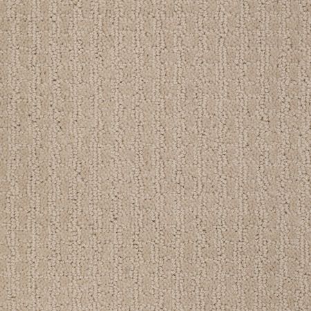 Shaw Floors Roll Special Xv284 Frost