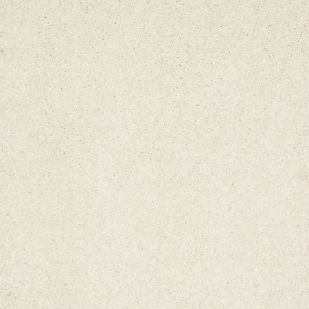 Shaw Floors Roll Special Xv308 Fine China